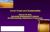 Cover Crops and Sustainability•Resource use efficiency –Improving efficiency without improving productivity ... No-Tillage Cropping Systems Conservation Agriculture ... Chuck Rice
