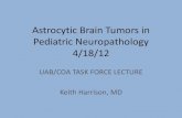 Astrocytic Brain Tumors Pediatric Neuropathology 4/18/12...Pleomorphic xanthoastrocytoma WHO grade II •Specialized variant of astrocytoma with reticulin deposition and pleomorphism