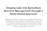 Shaping Lake Erie Agriculture Nutrient Management through ...Eutrophication of Lake Erie 2011 extreme algal bloom in the western basin of Lake Erie Phosphorus loading from Lake Erie