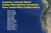 Lessons Learned About Oyster Recruitment Dynamics from ...Lessons Learned About Oyster Recruitment Dynamics from Coast-Wide Collaboration. Kerstin Wasson . Brent B. Hughes. John S.