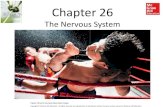 The Nervous System - Mr. Aitken's Biology Class · 2020. 3. 1. · receive many stimuli (both excitatory and inhibitory) at once. Synaptic integration determines the cell’s