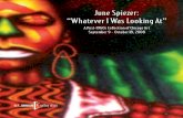 June Spiezer: Whatever I Was Looking At...June Spiezer: “Whatever I Was Looking At” A Post-1960s Collection of Chicago Art “Francis and June were two wonderful characters; well,