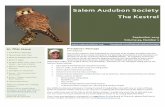 Salem Audubon Society The Kestrel...Salem Audubon field trips are open to the public, and we usually have a mixture of experienced and novice bird watchers. These trips are a great