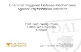 Chemical Triggered Defense Mechanisms Against Phytophthora infestans … · 2016. 8. 8. · July 14-15, 2016 | presented by Gefu Wang-Pruski The cultivated potato (Solanum tuberosum