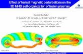 Effect of helical magnetic perturbations on the 3D MHD self ......2015/05/03  · 7th IAEA Technical Meeting on “Theory of Plasma Instabilities”, Frascati – March 4-6, 2015 Effect