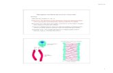 9/17/12 Biological membranes and ion channels Old lectures/Lecture5... · 2012. 9. 19. · 9/17/12! 2! Membranes are stabilized and ions are unable to permeate membranes in signiﬁcant