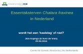 in Nederland - - Veldwerkplaatsen · PDF file 2016. 9. 20. · (steeds meer) digitale media/producten ... De cv Eureka blijkt tot dusver “middenmoter”; bij Atlas, Altena en ...