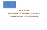 guiding and bending light at will with Spatial Solitons in liquid ...optow.ele.uniroma3.it/research/solitons/LC_sito.pdfSpatial Solitons in liquid crystals Nematicons Nematicons and