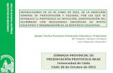 JORNADA PROVINCIAL DE PRESENTACIÓN ...ña.es/sites/default/files/users...LOE - LOMCE LEA Ley de Solidaridad Decreto 147/2002 Orden 19/9/2002 Decreto 40/2011 PROTOCOLO DE DETECCIÓN,