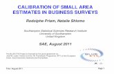 CALIBRATION OF SMALL AREA ESTIMATES IN BUSINESS SURVEYS · 2013. 8. 18. · Trier- August 2011 Page 1 CALIBRATION OF SMALL AREA ESTIMATES IN BUSINESS SURVEYS Rodolphe Priam, Natalie