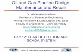 Oil and Gas Pipeline Design, Maintenance and Repair 12 Leak detection... · 2006. 8. 25. · PE 607: Oil & Gas Pipeline Design, Maintenance & Repair ١ Dr. Abdel-Alim Hashem Professor