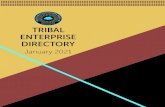 TRIBAL ENTERPRISE DIRECTORY - USETINC · 2021. 1. 4. · Tribal enterprises listed are considered firms that are owned in whole or in majority by a federally recognized Tribal Nation.