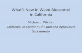 Michael J. Pitcairn California Department of Food and ...Dec 07, 2017  · Michael J. Pitcairn California Department of Food and Agriculture . Sacramento . Classical Weed Biological