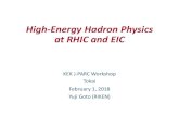 High-Energy Hadron Physics at RHIC and EIC...Future of nucleon spin physics at RHIC • RHIC Cold QCD Plan for 2017–2023 • arXiv:1602.03922 • Completion of the RHIC spin program