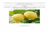 SAMPLE COSTS TO ESTABLISH AN ORCHARD AND ...Lemons Costs and Returns Study Ventura County-2020 UC Cooperative Extension, Agricultural Issues Center, UC Davis-ARE 3 lemon ground and