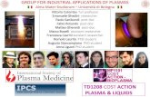 GROUP FOR INDUSTRIAL APPLICATIONS OF PLASMAS ...ATMOSPHERIC PRESSURE COLD PLASMAS GROUP EXPERTISE NON-EQUILIBRIUM PLASMA SOURCES Design and production of tailored plasma sources; scale-up