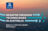 NEGATIVE EMISSION · 2020. 7. 31. · Cycling pathway Open pathway Pathway (1) Chemicals from CO 2 (2) Fuels from CO 2 ... NEGATIVE EMISSION TECHNOLOGIES IN AUSTRALIA Report on Roundtable