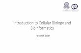 Introduction to Cellular Biology and Bioinformaticsbioinformatics.aut.ac.ir/workshop/wp-content/uploads/... · 2017. 12. 11. · Introduction to Cellular Biology and Bioinformatics