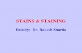 STAINS & REQUIREMENTS FOR STAINING Stain –Majority of the stains used for staining bacteria are of the basic type as nucleic acid of bacterial cells attract the positive ions, e.g.