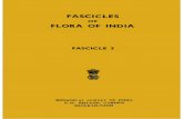 DjVu Document - Botanical Survey of India...FASCICLES OF FLORA OF INDIA Family Fascicle Date of Publication PAEON' ACEAE DILLENIACEAE May, 1979