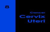 Cancer Cervix Uteri - ncdirindia.org · Higher proportion of patients with cancer cervix uteri underwent Radiotherapy plus Chemotherapy. Radiotherapy was the second most preferred