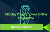 Natural Sciences - PITLOCHRY PRIMARY SCHOOL · 2021. 2. 16. · Natural Sciences. Presented By: Mrs Young Pitlochry Primary School Educator . What have we learnt so far? Key concepts