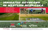Irrigated soybeans in Western Nebraska...Strahinja Stepanovic, Nemanja Arsenijevic, Zaim Ugljic Soybeans absorb 60% of nitrogen (N) after R3 (beginning of pod setting). Is N supply