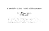 Seminar Visuelle Neurowissenschaften Eye Movements 18.06 · 2007. 12. 21. · Verschiedene Arten von Augenbewegungen: 1. Sakkaden: verschieben das Abbild eines Objekts aus der Peripherie