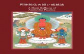 A Short Sadhana of Amitabha Practice - Tergar Asia...A Short Sadhana of Amitabha Practice ༄འ ད་དཔག་མ ད་* ་གས ལ་འད བས། Supplication to Buddha