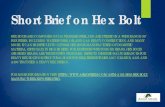 Short Brief on Hex Bolt