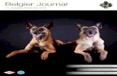 Belgier Journal - BSD-eV · 2016. 11. 5. · winnt die Auszeichnung zum Besten Hund der Ausstellung. Robuste Groenendael-Dame mit über 15 Jah-ren im Ausstellungsring. Dies sind nur