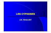 06 Mallet Cyphoses · 2014. 6. 9. · dorso -lombaire se charni è 15 ... Canal é troit Cartilage neurocentral e Hypotonie Traitement Corset t érieure. TROUBLES DU DEVELOPPEMENT