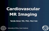 Cardiovascular MR Imaging...Wall thickening = 100*(Ds-Dd) / Dd Basal and Middle 6 –6 segments inferoseptal anteroseptal anterior anterolateral Inferolateral Inferior Left ventricular