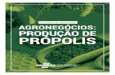 ESTUDO DE MERCADO AGRONEGÓCIOS: PRODUÇÃO DE … Sebrae/UFs...de mercado de Agronegócios, segmento produção de própolis, os empreendedores poderão identifi-car as características