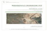 BRANDVLEI BORROW PIT - Home | EnviroAfrica · PDF file 2019. 2. 20. · BRANDVLEI BORROW PIT Proposed establishment of a small borrow pit near Brandvlei (Northern Cape Province). BOTANICAL