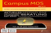WS 12/13 - Heidelberg University · info@stw.uni-heidelberg.de (Allgemeines) foe@stw.uni-heidelberg.de (Studienfinanzierung) STUDIENFINANZIERUNG Marstallhof 1, 69117 Heidelberg BAföG-Sprechstunde