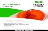 Invincible - rfdsafeagri.com · INVINCIBLE should only be harvested once the fruit stems develop cork-like cracks and lose most of their green colour. Storage for 2 weeks after harvest