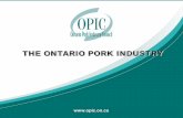 THE ONTARIO PORK INDUSTRY...Labour Shortages… • Canadian Swine industry employs 14,000 people (2014) • With current targets, Swine industry will need to employ 15,400 by 2025