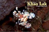 Khao Lak Thailand’s - X-Ray International Dive Magazinexray-mag.com/pdfs/xray62/X-Ray62_part2_locked.pdf · 2018. 3. 5. · Khao Lak. Khao Lak. I wasn’t even supposed to be in