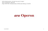 ara Operon - Jiwaji University Operon.pdfara Operon 4/4/2020 1 SOS in Biochemistry, Jiwaji University, Gwalior M.Sc. II Semester (2019-20) Paper BCH 201: Fundamentals of Molecular