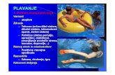 PLAVANJE - SkavtNETusers.skavt.net/~acelar/Plavanje-Predavanja.pdfPLAVANJE 1. Pomen znanja plavanja Varnost – utopitve Zdravje – Telesno (srčno-žilni sistem, dihalni sistem,
