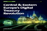 INSIGHT Central & Eastern Europe’s Digital Treasury Revolution · 2020. 6. 30. · Avoiding the traps Despite the obvious benefits, there are inevitable pitfalls that come with