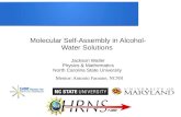 Molecular Self-Assembly in Alcohol- Water SolutionsSimplest amphiphile Low entropy in water - methanol (CH 3OH) solutions1 The Problem Hydrophilic Hydrophobic Methanol 1 H.S. Frank,