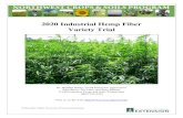 2020 Industrial Hemp Fiber Variety Trial...hemp biomass within a 0.25m2 quadrat. Harvest moisture was calculated by taking a subsample of hemp yield and drying it at 105⁰ F until