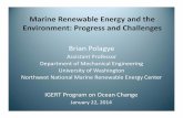 Marine Renewable Energy and the Environment: Progress and … · 2020. 1. 27. · effects Energy removal Cumulative effects Physical environment: Near‐field Physical environment: