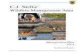 Wildlife Management Area...Wildlife Management Area management plans strive to direct management that upholds these values. They may also be bounded by legislative and/or funding mandates,