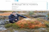 El Musgo de la Turbera - HUMEDALES DE CHILOÉhumedaleschiloe.cl/wp-content/uploads/2018/06/El-Musgo... · 2018. 8. 9. · 21 Sustentabilidad Medio mbiente Sphagnum magellanicum pompon