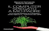 Giovanni Campardo Roberto Gastaldi IL COMPUTER …di elettroni, che vanno da una parte all’altra, di dimensioni, spiegando come in un pezzo di silicio di pochi millimetri quadrati