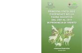 ISTITUTO ZOOPROFILATTICO SERVIZIO FORESTE E FAUNA …€¦ · nella fauna selvatica dal 2001 al 2011 in Provincia di Trento - Servizio Foreste e fauna della Provincia Autonoma di