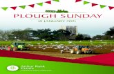 PLOUGH SUNDAY - Amazon Web Services · 2021. 1. 7. · PLOUGH SUNDAY. PLOUGH SUNDAY. 10 JANUARY 2021. An act of blessing for the soil. Where possible, use this act of blessing as